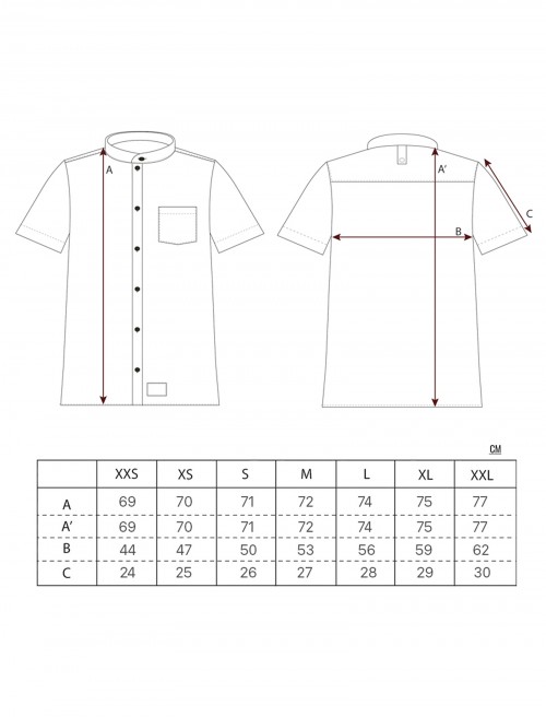 Sizing Camisa Axis Negra