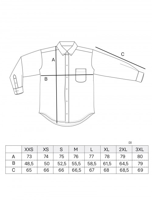 Sizing Camisa Oxford Hombre - Forest
