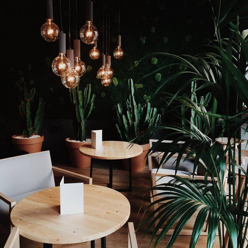 Ginger Fizz Bar, primer embajador de Qooqer